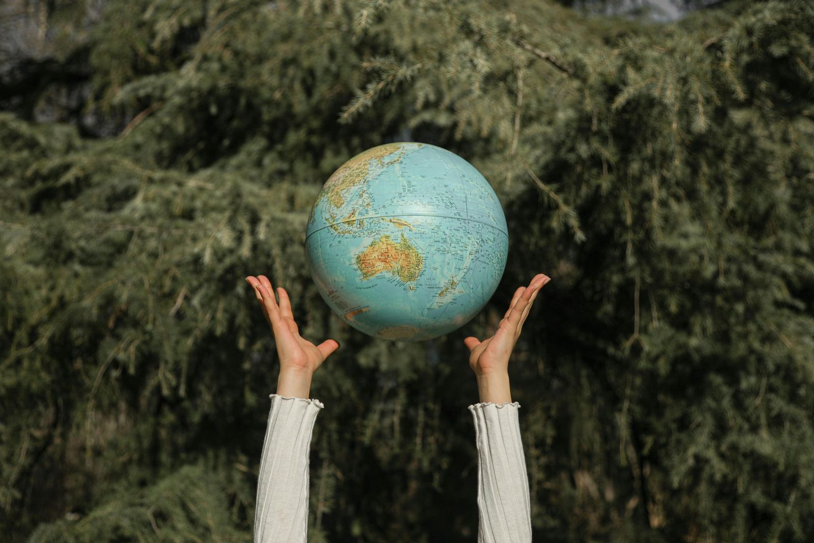 Hands holding a globe representing worldwide reach